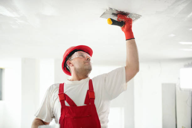 Best Air Quality Testing for Mold Spores  in Akron, CO
