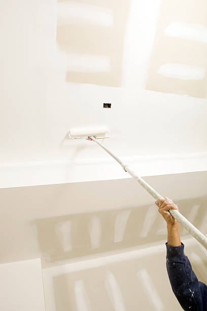 Professional Mold Removal in Akron, CO